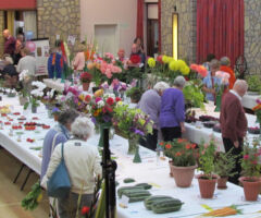 Horticulture Show Horticulture Show