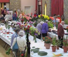 Horticulture Show Horticulture Show