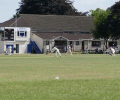 Cricket
